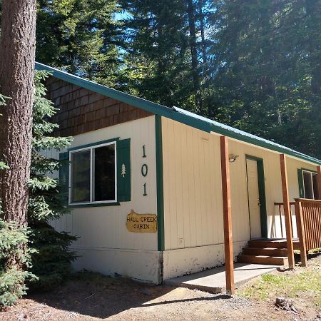 Hall Creek Cabin แพ็ควูด ภายนอก รูปภาพ