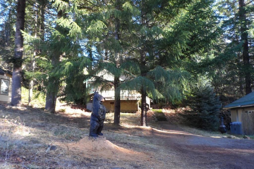 Hall Creek Cabin แพ็ควูด ภายนอก รูปภาพ